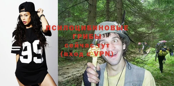 винт Бугульма