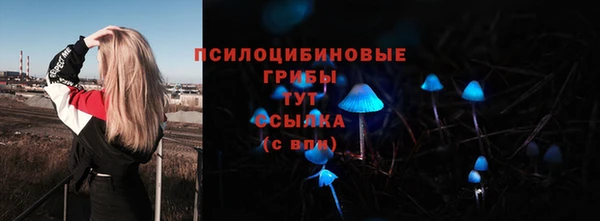 jwh Богданович