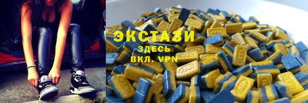 прущие грибы Бородино